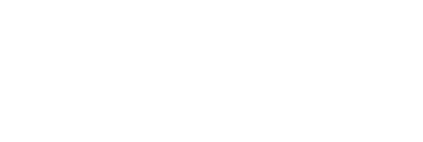Logo Saufer 50 anys